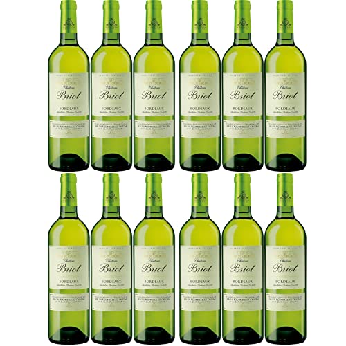 Château Briot Blanc Bordeaux Weißwein Wein trocken Frankreich I Visando Paket (12 Flaschen) von Vignobles Ducourt