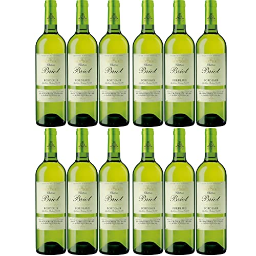 Château Briot Blanc Bordeaux Weißwein Wein trocken Frankreich I Visando Paket (12 Flaschen) von Vignobles Ducourt