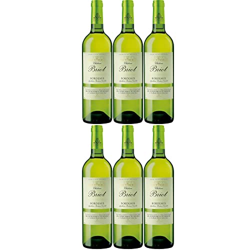 Château Briot Blanc Bordeaux Weißwein Wein trocken Frankreich I Visando Paket (6 Flaschen) von Vignobles Ducourt