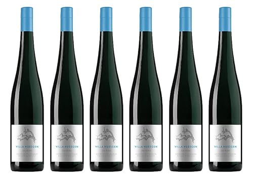 6x 0,75l - 2023er - Villa Huesgen - Alte Reben - wurzelecht - Riesling - Qualitätswein Mosel - Deutschland - Weißwein trocken 6x 0,75l - 2023er - Villa Huesgen - Alte Reben - wurzelecht - Riesling - Qualitätswein Mosel - Deutschland - Weißwein trocken von Villa Huesgen