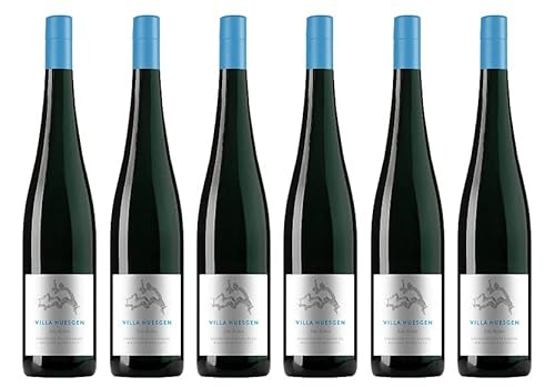 6x 0,75l - Villa Huesgen - Riesling - Alte Reben - wurzelecht - Qualitätswein Mosel - Deutschland - Weißwein trocken von Villa Huesgen