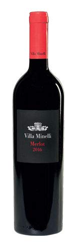 Villa Minelli Merlot Veneto IGT Rotwein (6-Flaschen-Packung x 0,75l) - cz von Villa Minelli