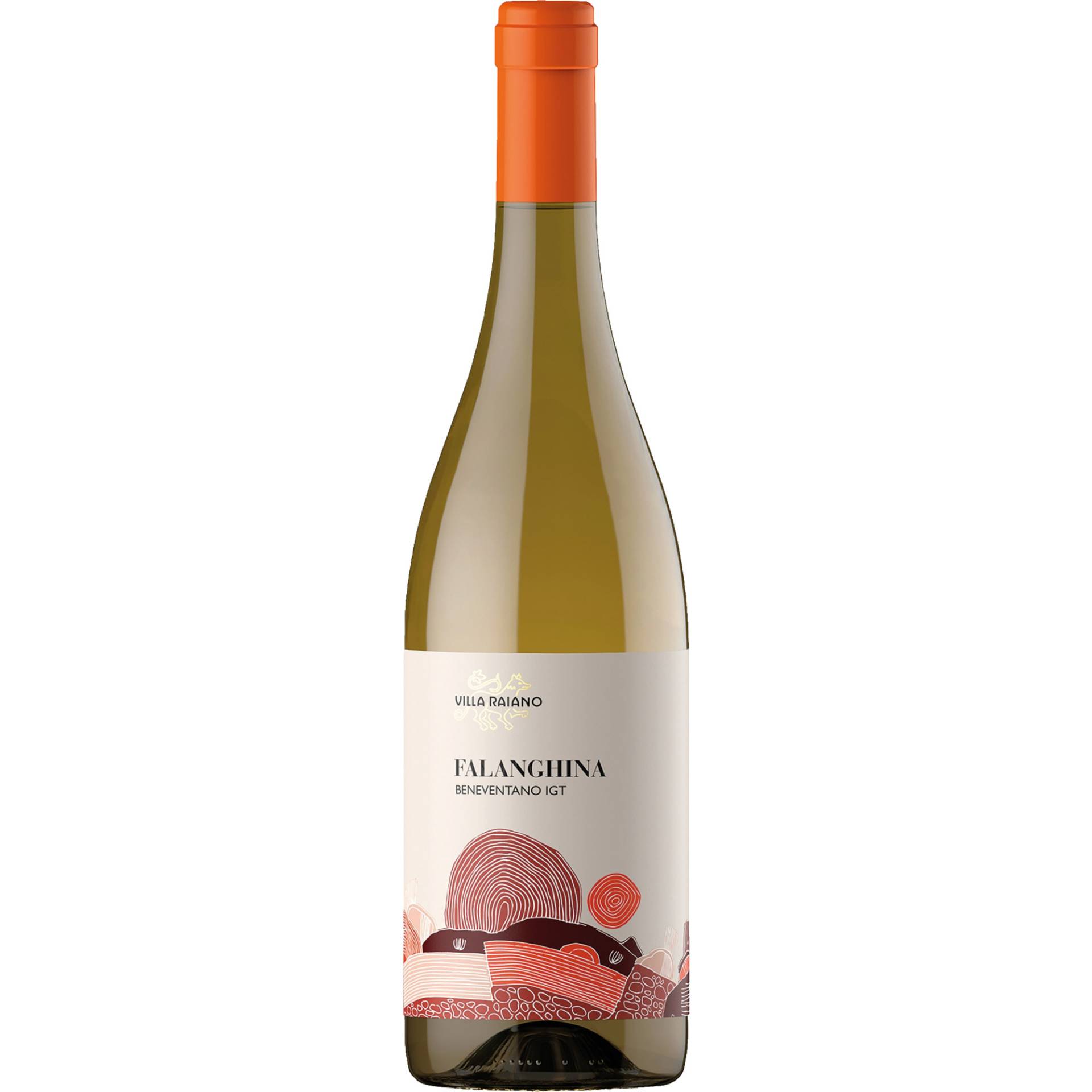 Falanghina Raiano, Beneventano IGP, Kampanien, 2023, Weißwein Falanghina Raiano, Beneventano IGP, Kampanien, 2023, Weißwein von Villa Raiano, IT-83020 San Michele di Serino