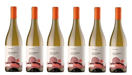 6x 0,75l - 2023er - Villa Raiano - Falanghina Beneventano I.G.P. - Kampanien - Italien - Weißwein trocken von Villa Raiano