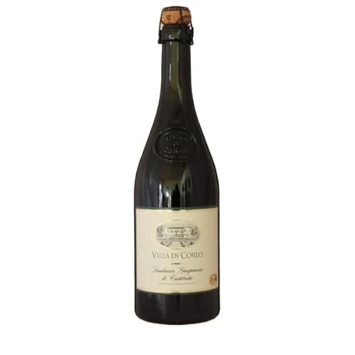 Villa di Corlo 2022 Lambrusco Secco Grasparossa di Castelvetro DOC 0.75 Liter von Villa di Corlo