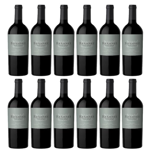 Vina Cobos Bramare Malbec Luján de Cujo Rotwein argentinischer Wein trocken Argentinien I Versanel Paket (12 x 0,75l) von Vina Cobos