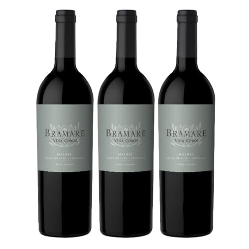 Vina Cobos Bramare Malbec Luján de Cujo Rotwein argentinischer Wein trocken Argentinien I Versanel Paket (3 x 0,75l) von Vina Cobos