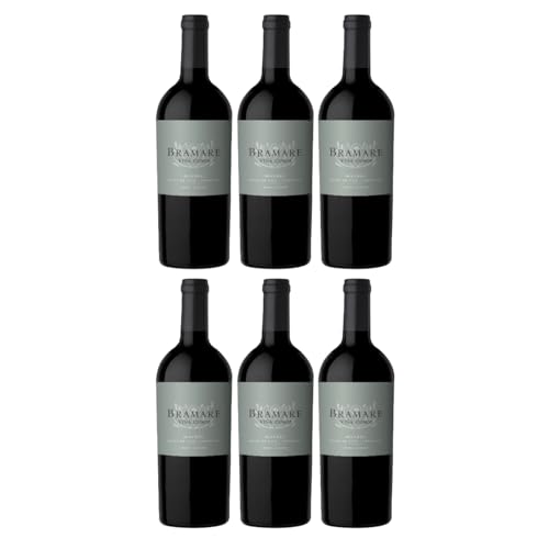 Vina Cobos Bramare Malbec Luján de Cujo Rotwein argentinischer Wein trocken Argentinien I Versanel Paket (6 x 0,75l) von Vina Cobos