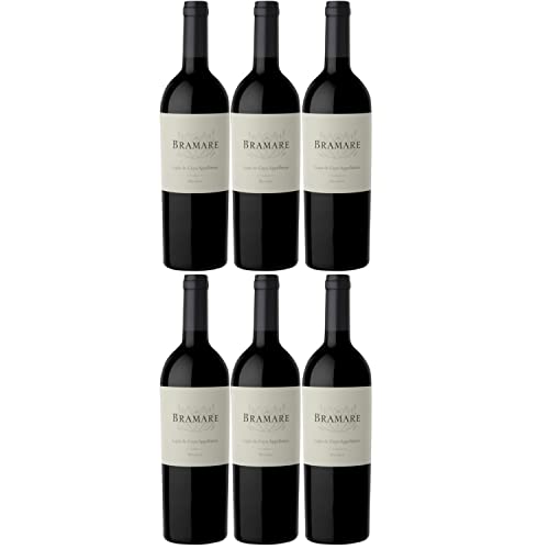 Vina Cobos Bramare Malbec Luján de Cujo Rotwein argentinischer Wein trocken Argentinien I Versanel Paket (6 x 0,75l) von Vina Cobos