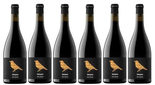 6x 0,75l - 2021er - Vina Zorzal - Malayeto - Navarra D.O.P. - Spanien - Rotwein trocken von Vina Zorzal