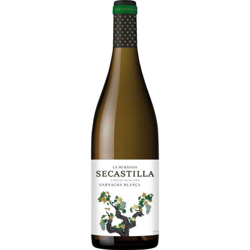 La Miranda de Secastilla Blanca, Trocken, Aragonien, Aragonien, 2021, Weißwein von Vinas del Vero,22300,Barbastro,Spanien