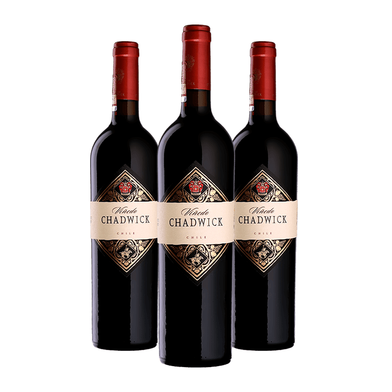 Viñedo Chadwick 2020 Viñedo Chadwick 2020 von Viñedo Chadwick