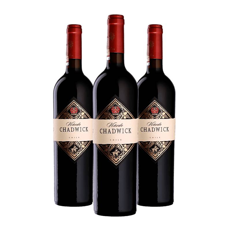 Viñedo Chadwick 2022 von Viñedo Chadwick