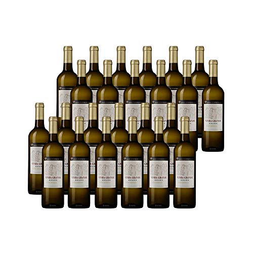 Vinha Grande - Weißwein - 24 Flaschen von Vinha Grande