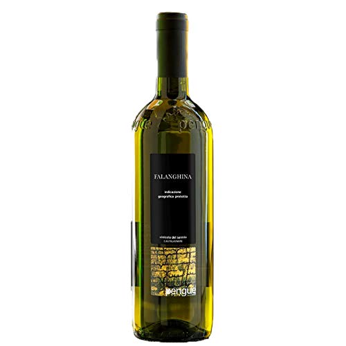 Weißwein Falanghina Beneventano IGP PENGUE 1 Lt - Vinicola del Sannio - 6 Stück Karton von Vinicola del Sannio