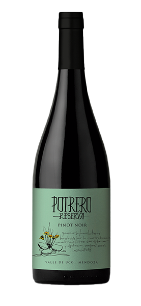 Potrero Reserva Pinot Noir 2021 Potrero Reserva Pinot Noir 2021 von Vinos de Potrero