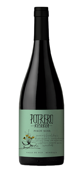Potrero Reserva Pinot Noir 2021 von Vinos de Potrero