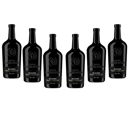 6 Bottles Italian MAXIMO 2021 Red Wine (Color Bright Ruby) Montepulciano D'Abruzzo by by Vinum Hadrianum | Colline Teramane DOCG Embrace Wine | Excellence in Every Sip - (Each Bottle 750 ml) von Vinum Hadrianum