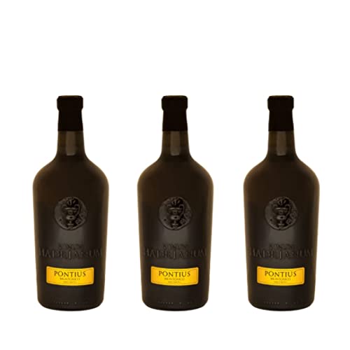 Vinum Hadrianum PONTIUS 2021 Montonico Colli Aprutini IGT Mazeriert | Farbe Bernstein (Orange Wine) | Gereift in Lehmamphoren | 25,36 Unzen (750 ml) - 3 Flasche von Vinum Hadrianum
