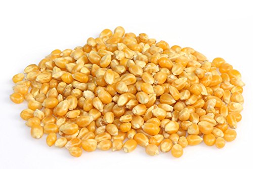 Popcorn Mais | 900g | Qualitätsware | Vitalesia Vitalmühle von Vitalesia