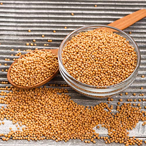 Senfsaat ganz und gelb | rein | Senf Saat | Senfkörner | Senfkorn | Senfsamen | gesund | Premium Qualität | Gelbsenf | Gewürz | Würze | naturbelassen | Frischebeutel | 10.000g Senfsaat ganz und gelb | rein | Senf Saat | Senfkörner | Senfkorn | Senfsamen | gesund | Premium Qualität | Gelbsenf | Gewürz | Würze | naturbelassen | Frischebeutel | 10.000g von Vitalesia