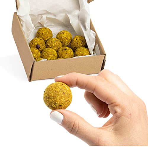 Vitalityballs - 12x Natürliche Energyballs "Golden Ball" ohne zusätzlichem Zucker 100 % Vegan und Glutenfrei - Energie Kugeln Power Snacks - Energie Bällchen mit Datteln von Vitalityballs