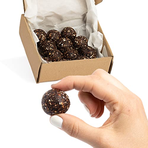 Vitalityballs - 12x Natürliche Energyballs "Mint Choc Protein" ohne zusätzlichem Zucker - Eiweiß Energie Kugeln Power Snacks - Energie Bällchen mit Datteln von Vitalityballs