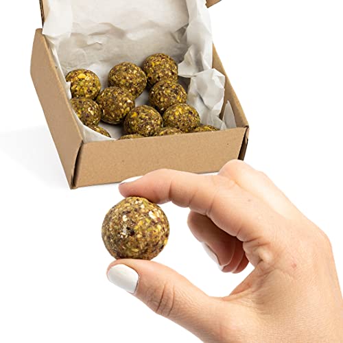 Vitalityballs - 12x Natürliche Energyballs "Pistachio" ohne zusätzlichem Zucker 100 % Vegan - Eiweiß Energie Kugeln Power Snacks - Energie Bällchen mit Datteln und 45 % Pistazien von Vitalityballs