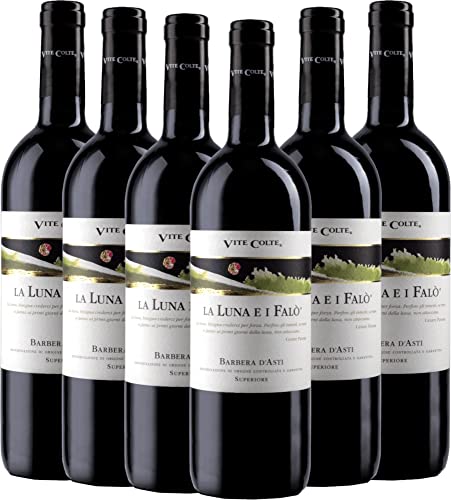 VINELLO 6er Weinpaket Rotwein - La Luna e I Falo Barbera d'Asti Superiore DOCG 2020 - Vite Colte mit einem VINELLO.weinausgießer | 6 x 0,75 Liter von Vite Colte