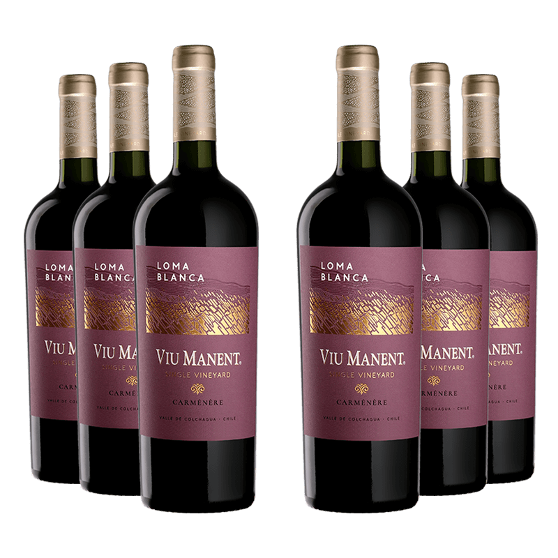Viu Manent : Loma Blanca Single Vineyard Carménére 2022 Viu Manent : Loma Blanca Single Vineyard Carménére 2022 von Viu Manent