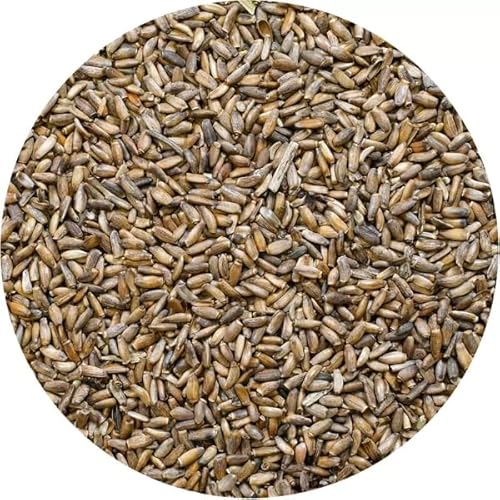 Vivarini Mariendistel 50g | Kräutergeschmack und tiefes Aroma | Ideale Ergänzung für Aufgüsse - Tee und Yerba Mate und Gerichte | Mariendistelsamen von Vivarini