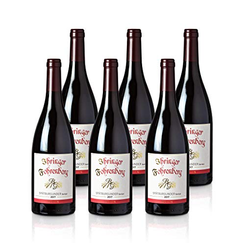 Spätburgunder Barrique - Ihringer Fohrenberg 2017 | Rotwein aus Deutschland | Trocken & Rot | WBK Glatt | Samtig & Kräftig im Geschmack (6x0,75l) von WBK Weinbau · Weinkontor Glatt