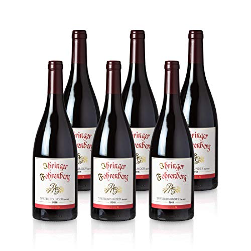 Spätburgunder,Barrique' - Ihringer Fohrenberg 2018 | Rotwein aus Deutschland | Trocken & Rot | WBK Glatt | Samtig & Kräftig im Geschmack (6x0,75l) von WBK Weinbau · Weinkontor Glatt