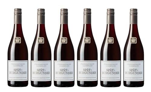 6x 0,75l - 2022er - WG Königschaffhausen-Kiechlinsbergen - Königschaffhauser Vulkanfelsen - Spätburgunder - Qualitätswein Baden - Deutschland - Rotwein trocken 6x 0,75l - 2022er - WG Königschaffhausen-Kiechlinsbergen - Königschaffhauser Vulkanfelsen - Spätburgunder - Qualitätswein Baden - Deutschland - Rotwein trocken von WG Königschaffhausen-Kiechlinsbergen