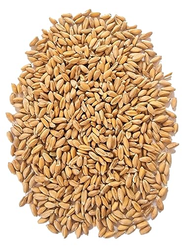 WIDU Bio Dinkel geeignet zum Backen Getreide Ganzes Korn 12,5 KG Getreidesack von WIDU