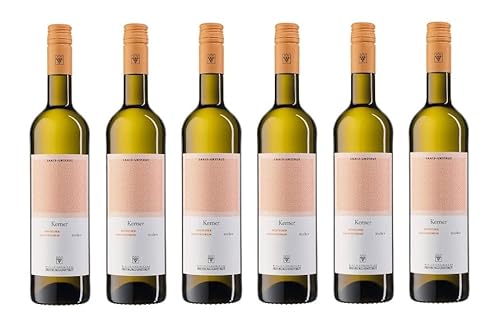 6x 0,75l - 2023er - WV Freyburg-Unstrut - Kerner - Qualitätswein Saale-Unstrut - Deutschland - Weißwein trocken 6x 0,75l - 2023er - WV Freyburg-Unstrut - Kerner - Qualitätswein Saale-Unstrut - Deutschland - Weißwein trocken von WV Freyburg-Unstrut