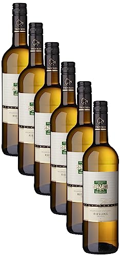 Württemberger Wein Heilbronner Stiftsberg Riesling Qw trocken (6 x 0.75 l) von WZG