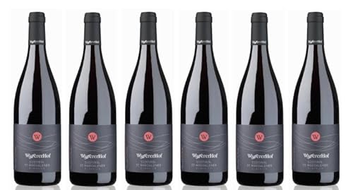 6x 0,75l - 2021er - Weingut Wassererhof - St. Magdalener Classico - Alto Adige-S. Maddalena Classico D.O.P. - Südtirol - Italien - Rotwein trocken 6x 0,75l - 2021er - Weingut Wassererhof - St. Magdalener Classico - Alto Adige-S. Maddalena Classico D.O.P. - Südtirol - Italien - Rotwein trocken von Wassererhof