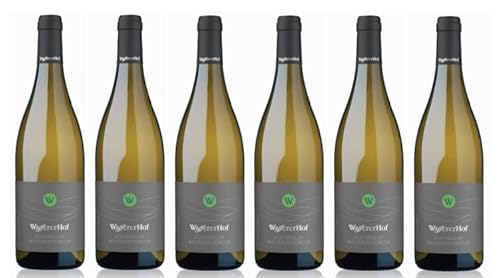 6x 0,75l - 2021er - Weingut Wassererhof - Weißburgunder - Alto Adige D.O.P. - Südtirol - Italien - Weißwein trocken 6x 0,75l - 2021er - Weingut Wassererhof - Weißburgunder - Alto Adige D.O.P. - Südtirol - Italien - Weißwein trocken von Wassererhof