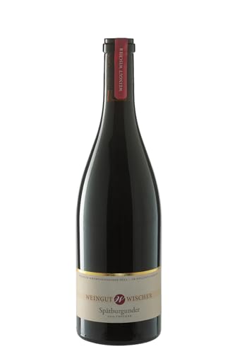 WEIN WISCHER Rotwein Spätburgunder trocken Qualitätswein [0,75 l] Franken Weingut Wischer - Gutsabfüllung Frankenwein jetzt genießen! von Wein Wischer Nordheim am Main