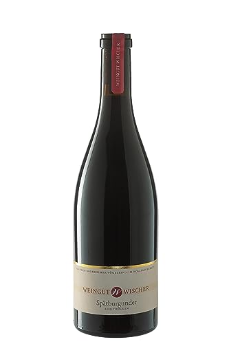 WEIN WISCHER Rotwein Spätburgunder trocken Qualitätswein [0,75 l] Franken Weingut Wischer - Gutsabfüllung Frankenwein jetzt genießen! von Wein Wischer Nordheim am Main