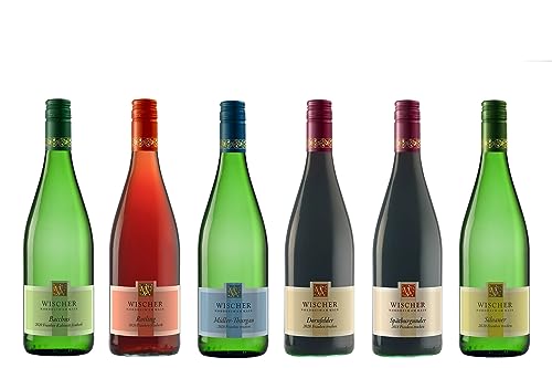 WEIN WISCHER Weißwein trockenfeinherb QUALITÄTSWEIN [6 x 0,75 l] Franken Frankenwein jetzt genießen! von Wein Wischer Nordheim am Main