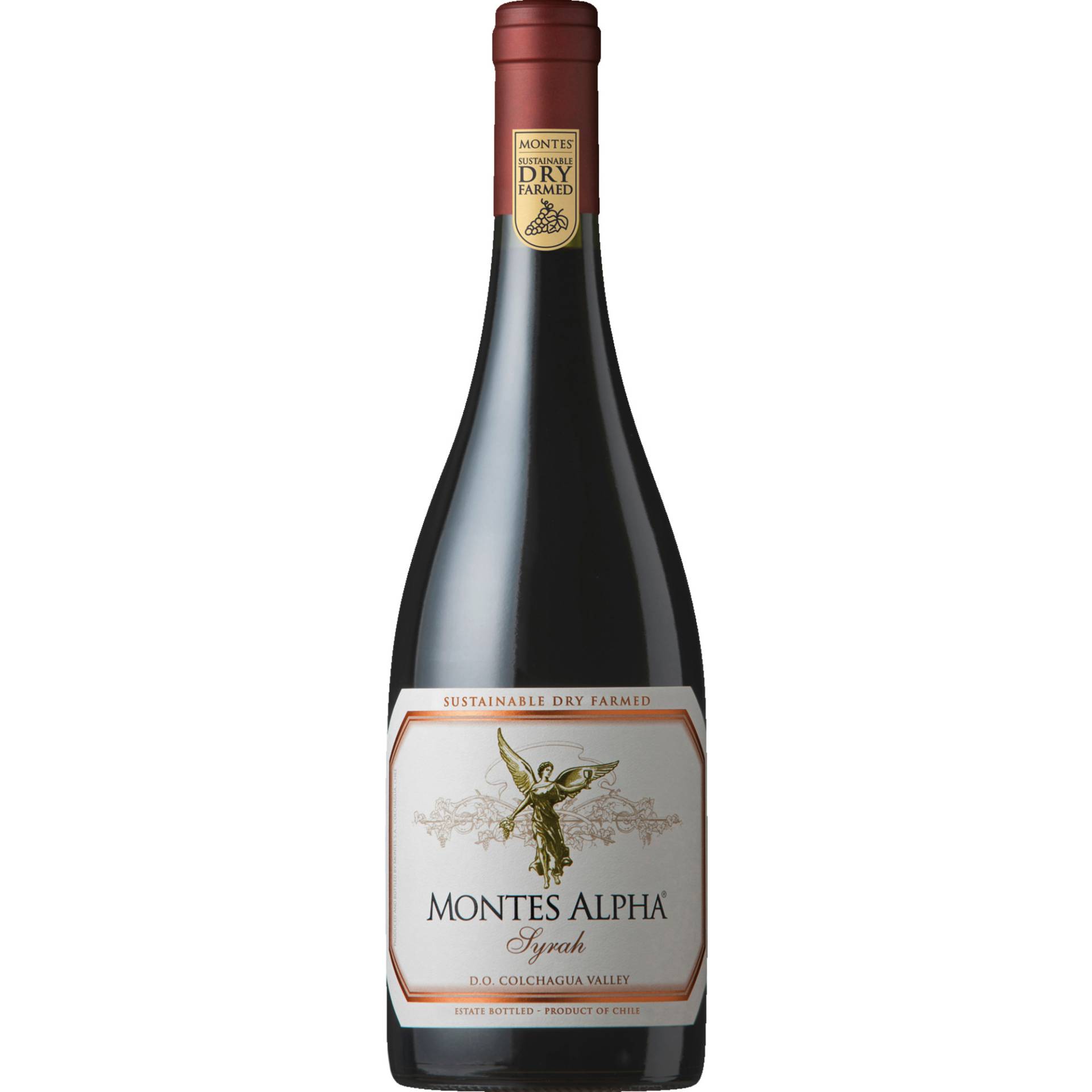Montes Alpha Syrah, Valle Central, Valle Central, 2022, Rotwein Montes Alpha Syrah, Valle Central, Valle Central, 2022, Rotwein von Wein Wolf GmbH,53227,Bonn,Deutschland