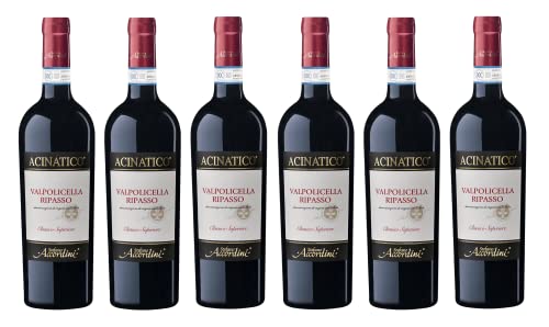 6x 0,75l - Stefano Accordini - Acinatico - Ripasso Valpolicella Classico Superiore D.O.P. - Veneto - Italien - Rotwein trocken von Wein- und Genießerparadies