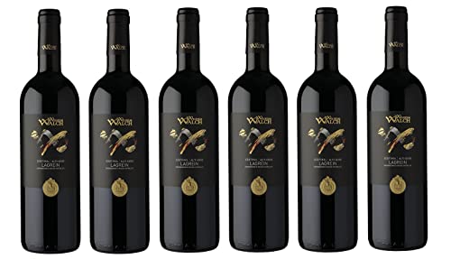 6x 0,75l - 2023er - Weingut Wilhelm Walch - Lagrein - Alto Adige D.O.P. - Südtirol - Italien - Rotwein trocken von Wein- und Genießerparadies