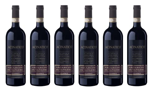 6x 0,75l - Stefano Accordini - Acinatico - Amarone della Valpolicella Classico D.O.C.G. - Veneto - Italien - Rotwein trocken von Wein- und Genießerparadies