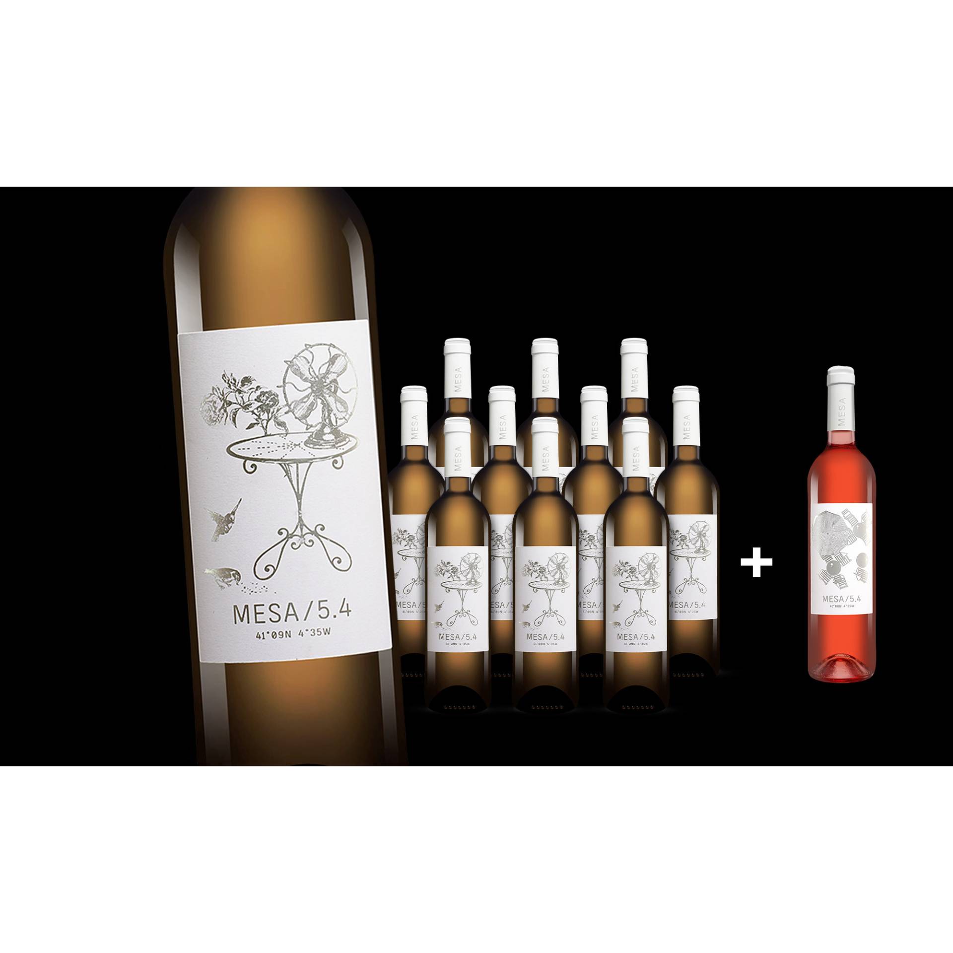 MESA/5.4 Blanco  9L 12.5% Vol. Weinpaket aus Spanien von Wein & Vinos - Das Mesa-Projekt