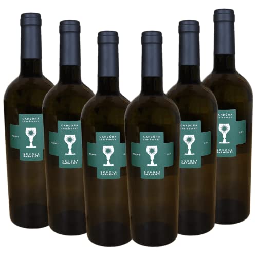Chardonnay 6er Paket | Weißwein trocken | Italienischer Weißwein | Weißwein aus Italien | Jahrgang 2019 | 0,75l von WeinDaheim