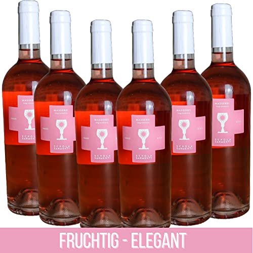 Rosé Negroamaro 6er Paket | Rosewein trocken | Italienischer Rosé | Rosé aus Italien | 0,75l | trocken (2020) von WeinDaheim