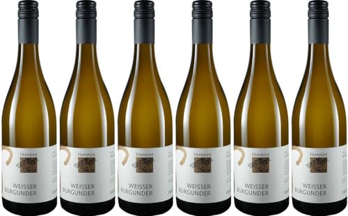 6x Weisser Burgunder 2023 - Weinerlebnis Stühler, Franken - Weißwein von Weinerlebnis Stühler